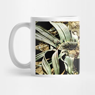 Welwitschia Plant Mug